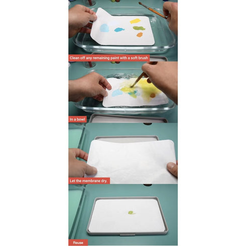 Redgrass - Studio - V2 Reusable Membranes for Everlasting Wet Palette