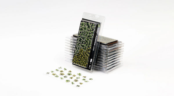 Laser plants-Plantain Lily