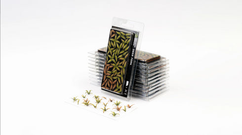 Laser plants-Deer Fern