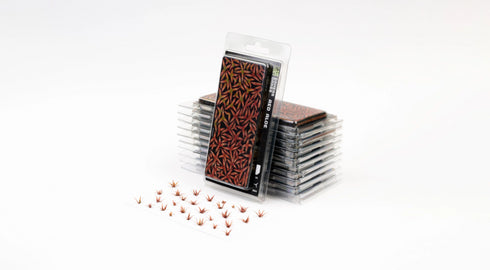 Laser plants-Red Aloe