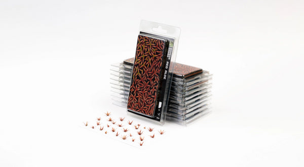 Laser plants-Red Aloe