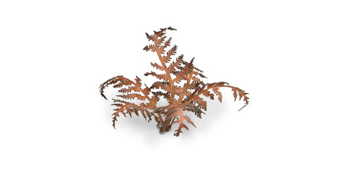 Laser plants-Dry Bracken