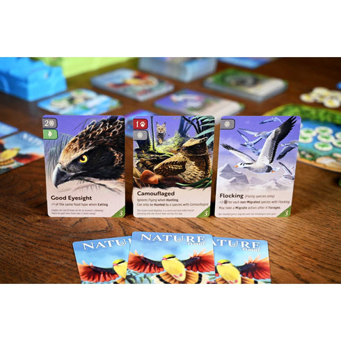 Nature - Module 1 - Flight