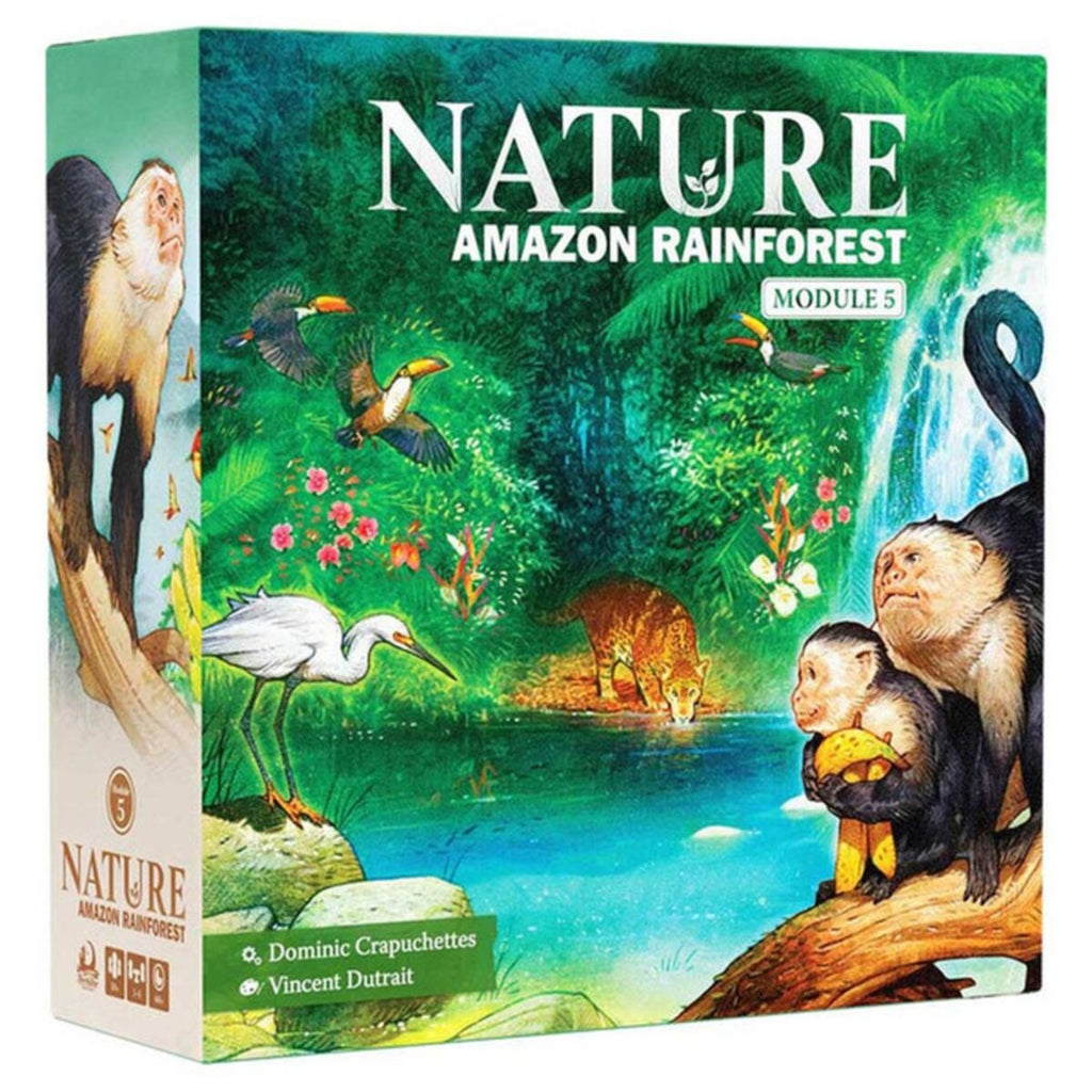 Nature - Amazon Rainforest