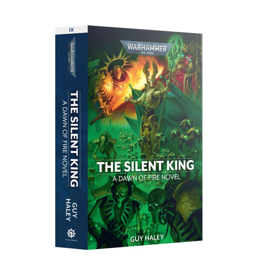 Dawn of Fire: The Silent King :BOOK 9(Paperback)