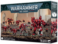 T'AU EMPIRE: FARSIGHT CADRE -