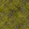 Swamp’s Edge Battle Mat 60" by 44"