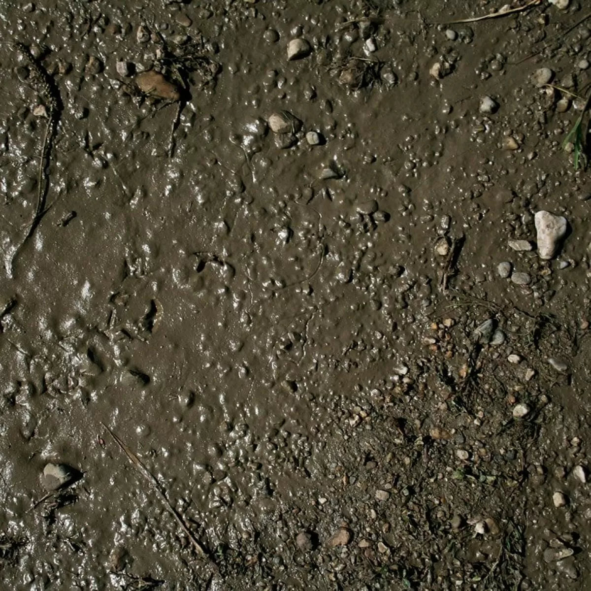 AK Interactive Dioramas - Terrains Wet Ground 250ml