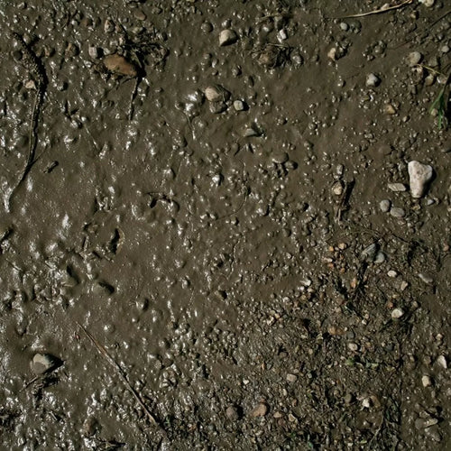 AK Interactive Dioramas - Terrains Wet Ground 250ml