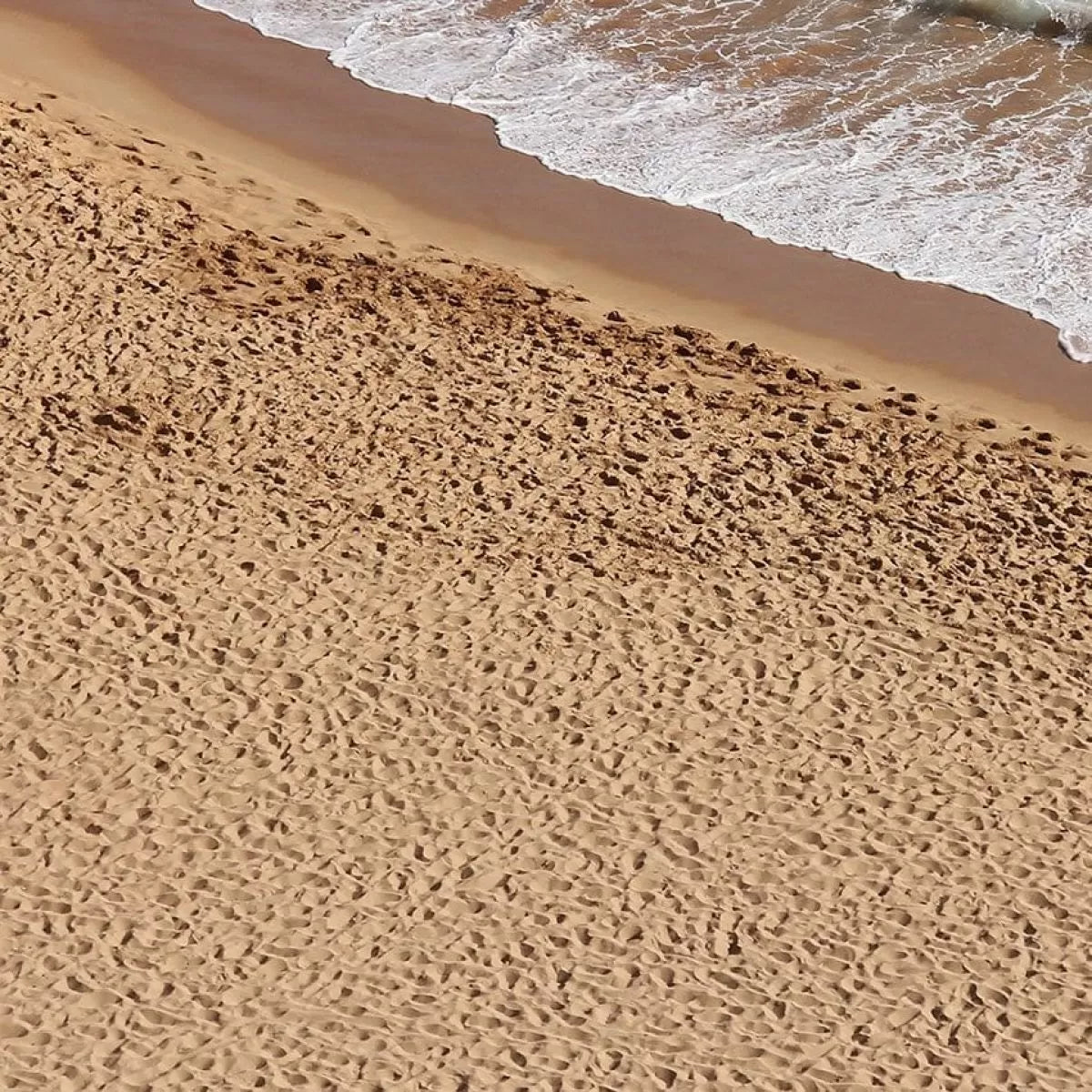 AK Interactive Dioramas - Terrains Beach Sand 250ml