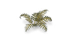 Laser plants-Bracken