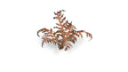 Laser plants-Dry Bracken