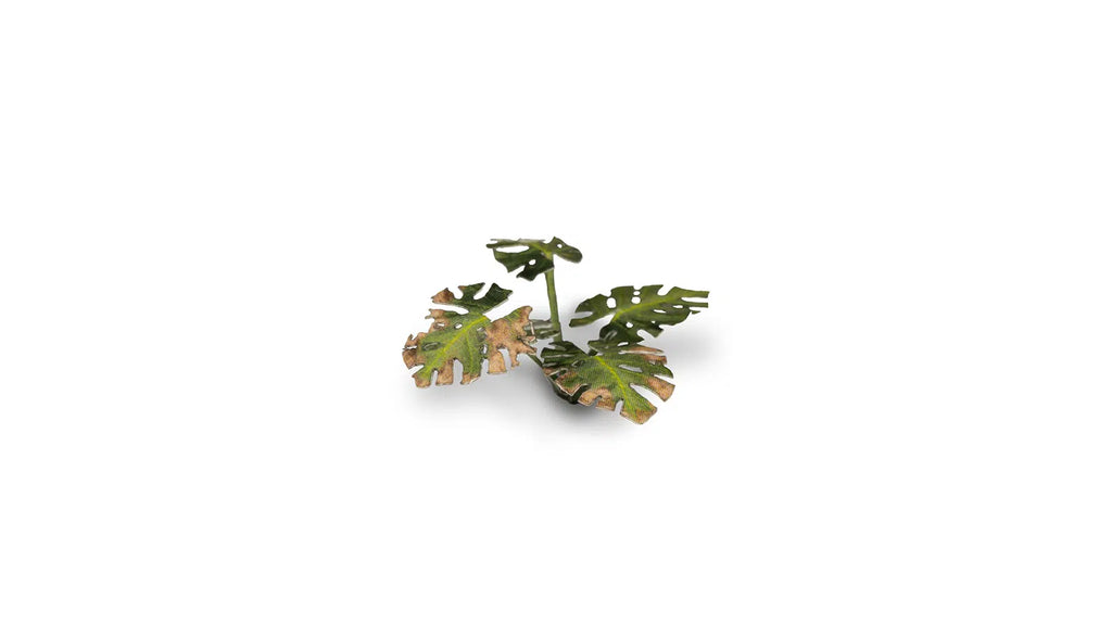 Laser plants-Monstera