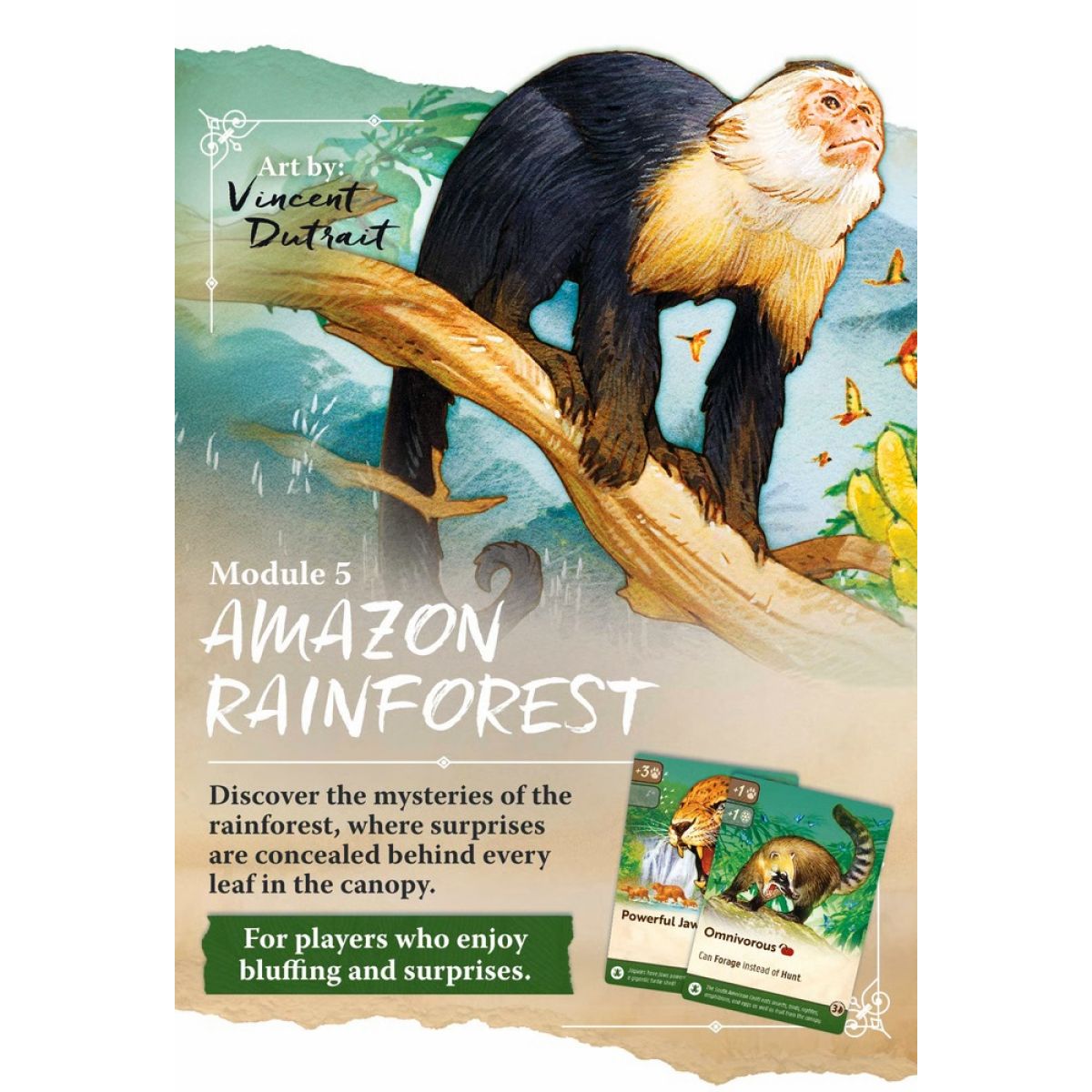 Nature - Amazon Rainforest